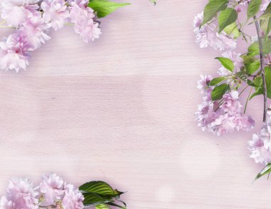 Güzel çiçekli kiraz - Sakura. Arka plan ile masaya çiçek.