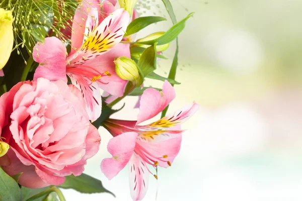 Lelies bloemen boeket — Stockfoto