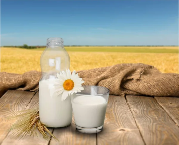 Mjölk i glas och flaska — Stockfoto