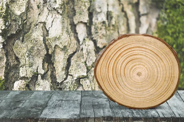 Corte redondo de árbol —  Fotos de Stock