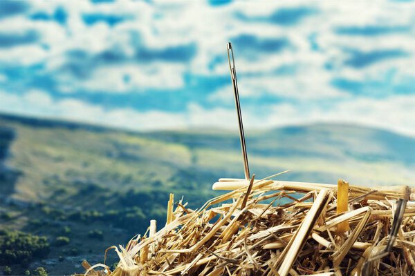 Крупный план Иглы в стоге сена
