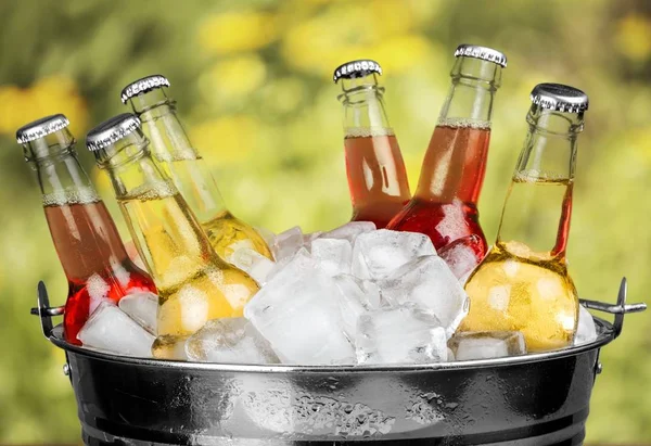 Botellas de cerveza en hielo — Foto de Stock