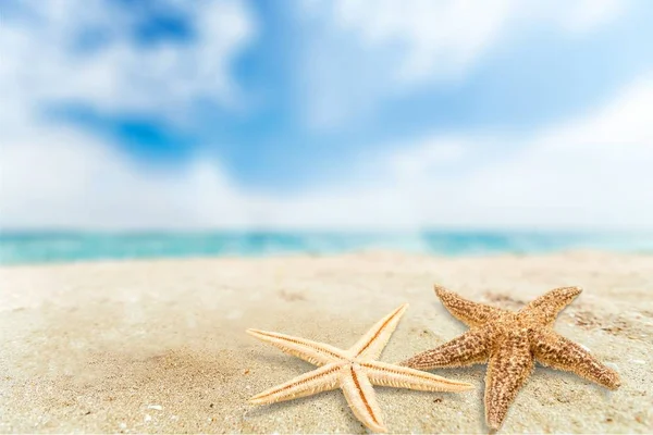 Deniz yıldızları kum üzerinde — Stok fotoğraf