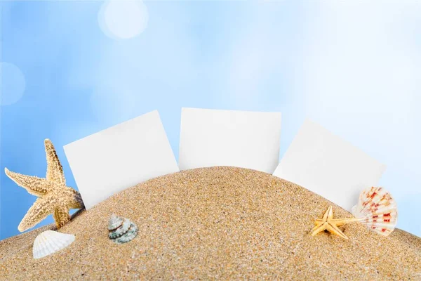 Deniz Yıldızı Beyaz Arka Plan Üzerinde Izole Kum Üzerinde Kabukları — Stok fotoğraf