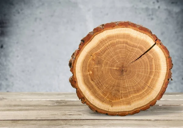 Bulat dipotong dari pohon — Stok Foto