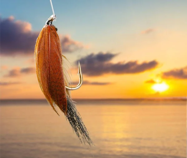Рыболовный Крючок Приманка Заднем Плане — стоковое фото