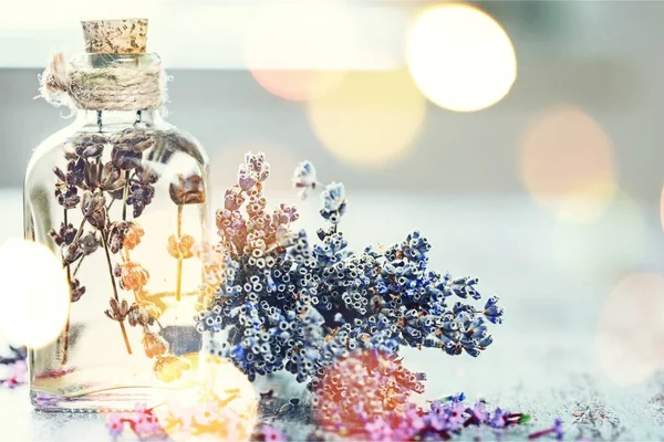 Flores de lavanda e óleo — Fotografia de Stock