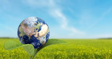 çim zemin üzerine ışık ışınları Cam Küre top