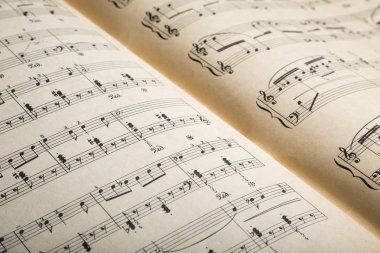 yaprak müzik notları ile