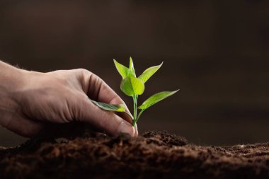 Yeşil bitki arka plan üzerinde insan elinde