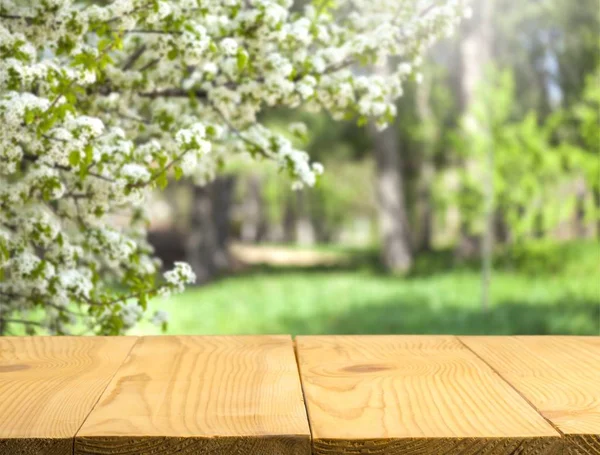 Порожній дерев'яний стіл — стокове фото