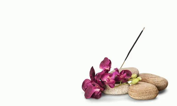 Kamienie bazaltowe Zen i kwiat — Zdjęcie stockowe