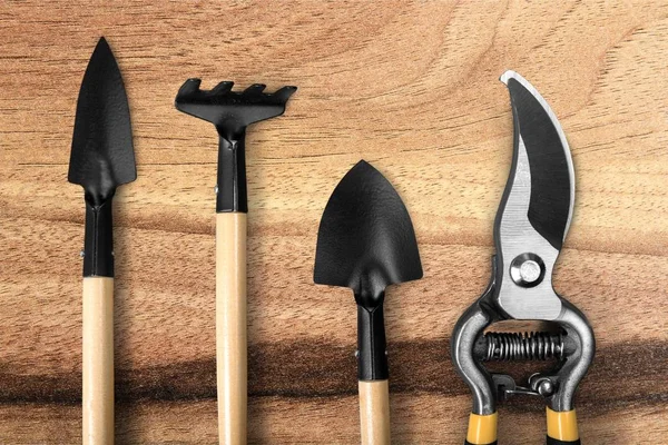 Fila de herramientas de jardinería — Foto de Stock