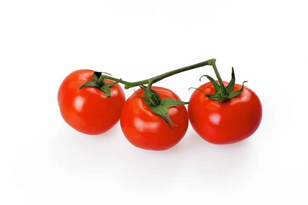 Olgun domates dalı — Stok fotoğraf