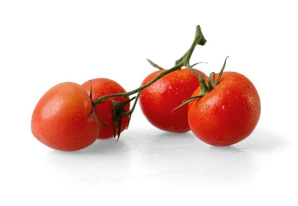 Rote Tomaten isoliert — Stockfoto