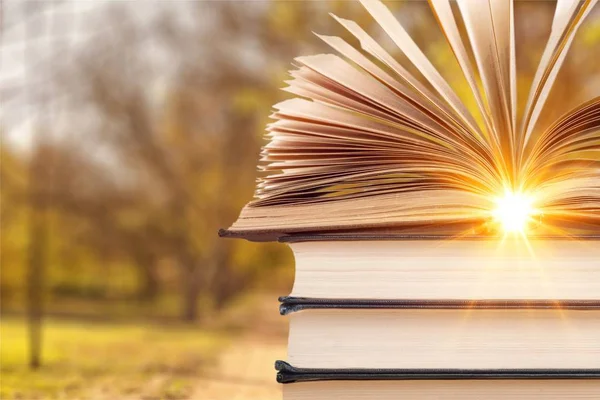 Old stacked books — Stock Photo, Image