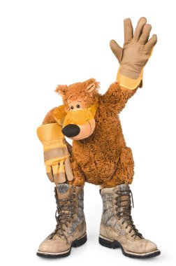 sevimli boz ayı beyaz arka plan üzerinde izole ayakkabı yakın çekim fotoğraf