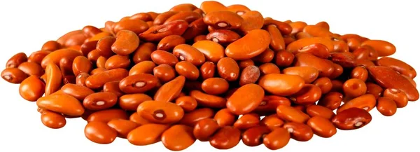 Kacang ginjal terisolasi — Stok Foto