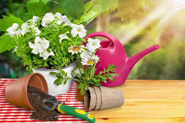 Blumentopf und Gartengeräte — Stockfoto