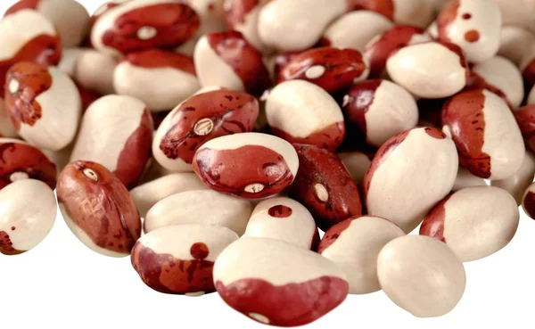 Izolované fazole — Stock fotografie