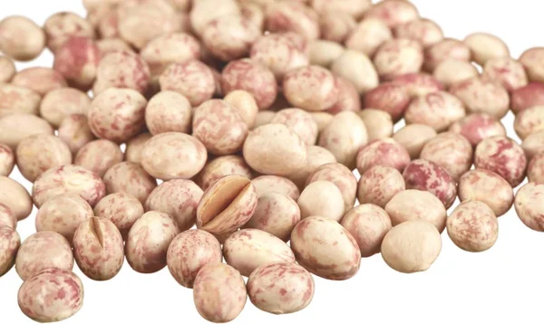 大豆は 白い背景で隔離のクローズ アップ — ストック写真