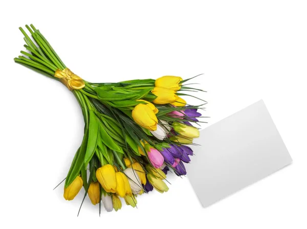 Свежие тюльпаны с чистой карточкой — стоковое фото