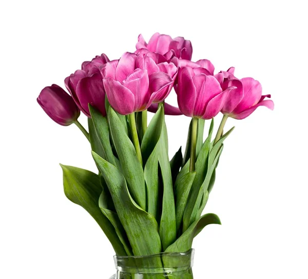 Buquê de tulipas rosa brilhante — Fotografia de Stock