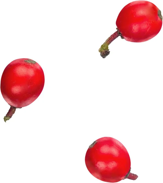 白色背景下红浆果的特写 — 图库照片