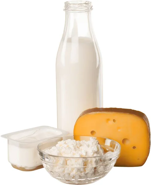 Sortierte Milchprodukte — Stockfoto