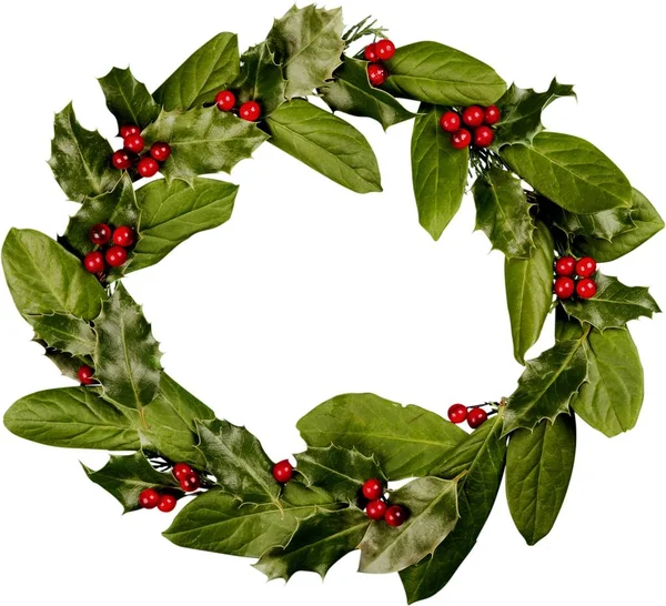 Söta holly blad och bär — Stockfoto