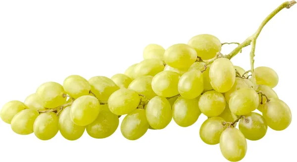 Белый виноград, изолированный — стоковое фото