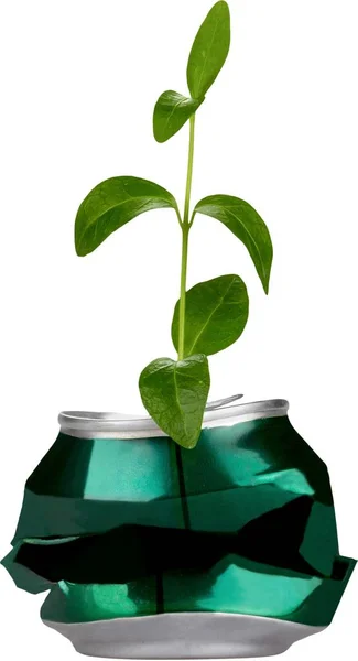 Can reused for growing plant — Stock Photo, Image