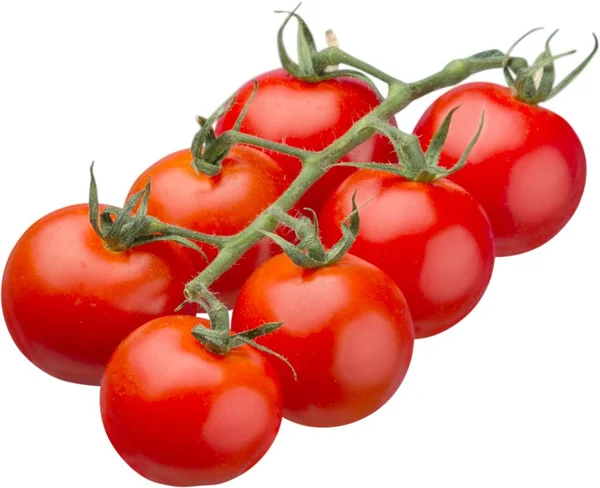 Zweig reife Tomaten — Stockfoto