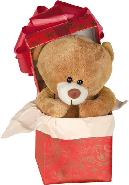 Teddy beer in geschenkdoos — Stockfoto