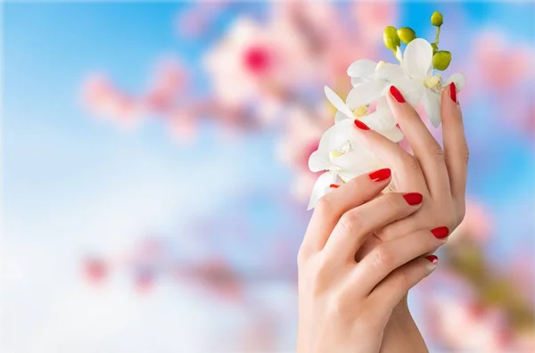 Woman's nails with   manicure — Stock Photo, Image