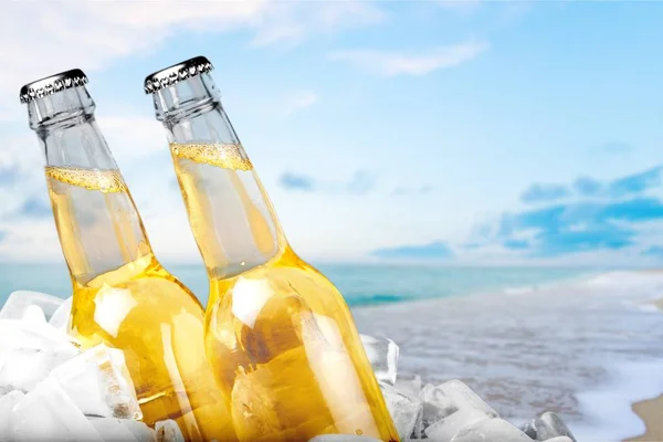 Beer bottles with ice — Stock Photo, Image