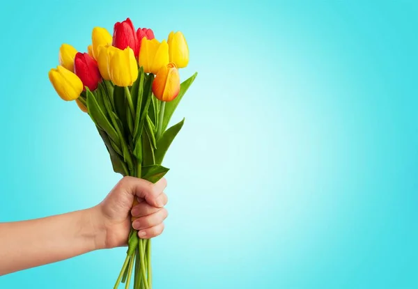 Masculino Segurando Bela Primavera Tulipas Flores Fundo — Fotografia de Stock