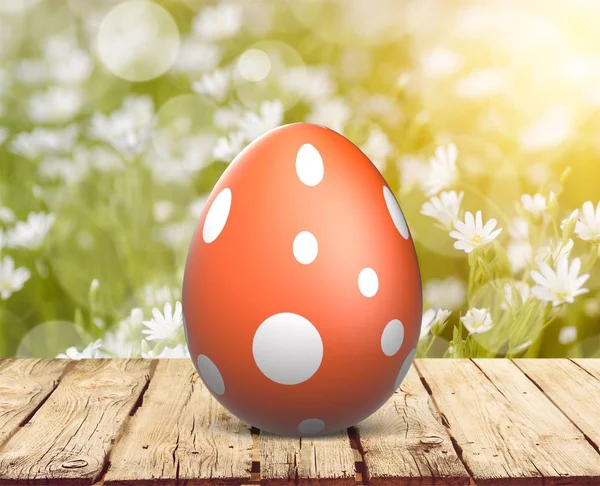 Close View Easter Egg Background — Stock Photo, Image