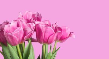 güzel bahar lale çiçekleri arka plan üzerinde