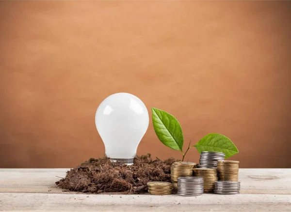 Coins in soil with young plants