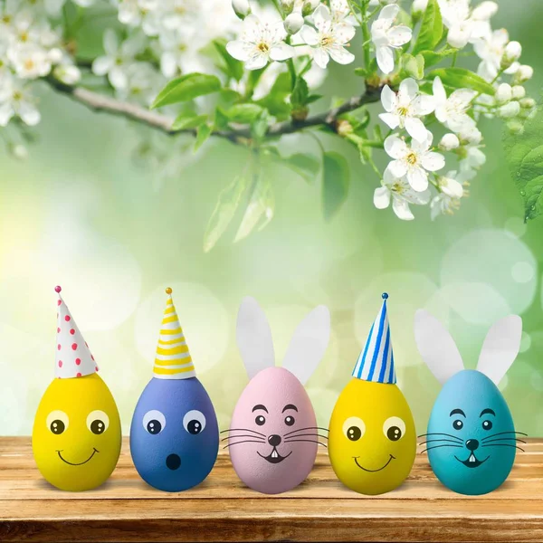 Colorful Eggs Isolated Background — Stock Photo, Image