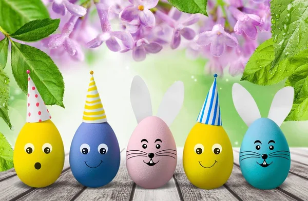 Colorful Eggs Isolated Background — Stock Photo, Image