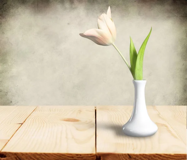 Λευκό Βάζο Λουλούδι Τουλίπα — Φωτογραφία Αρχείου