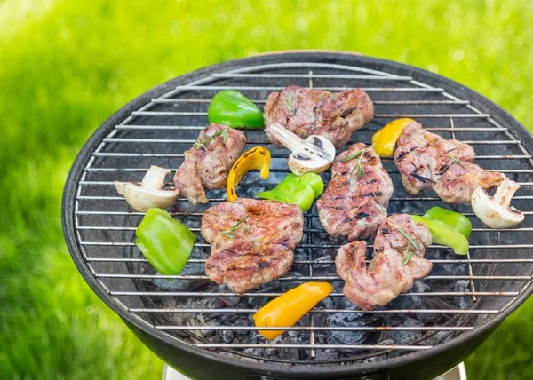 Tasty Outdoors Grill Close View — Stock Photo, Image