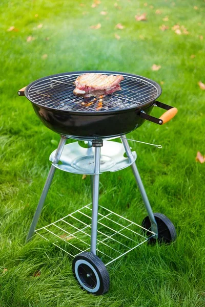 Välsmakande Utomhus Grill Närbild — Stockfoto