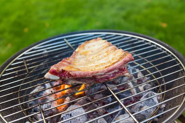 Tasty Outdoors Grill Close View — Stock Photo, Image