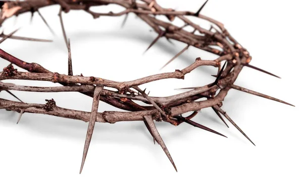 Crown Thorns Background Close View — Stock Photo, Image