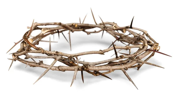 Crown Thorns Background Close View — Stock Photo, Image