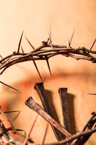Crown of thorns on background, close-up view 