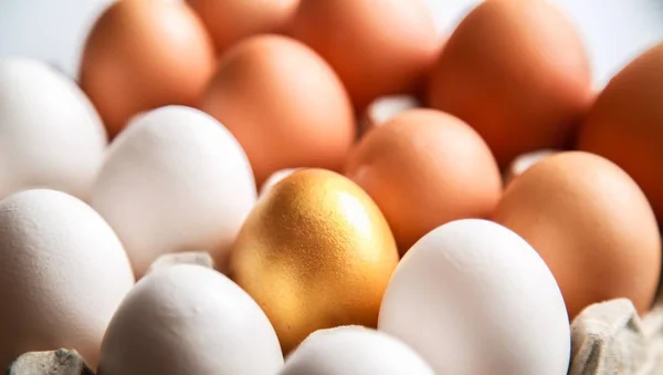 Τα αυγά που απομονώνονται σε λευκό — Φωτογραφία Αρχείου